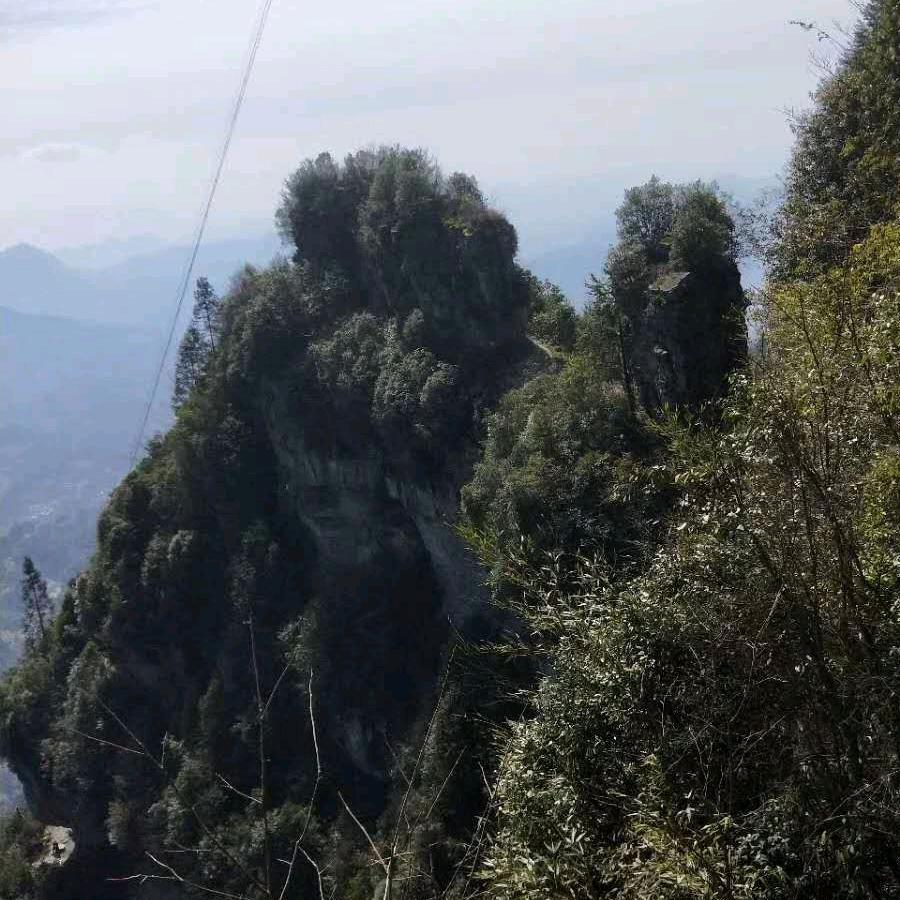 滴滴司机小李