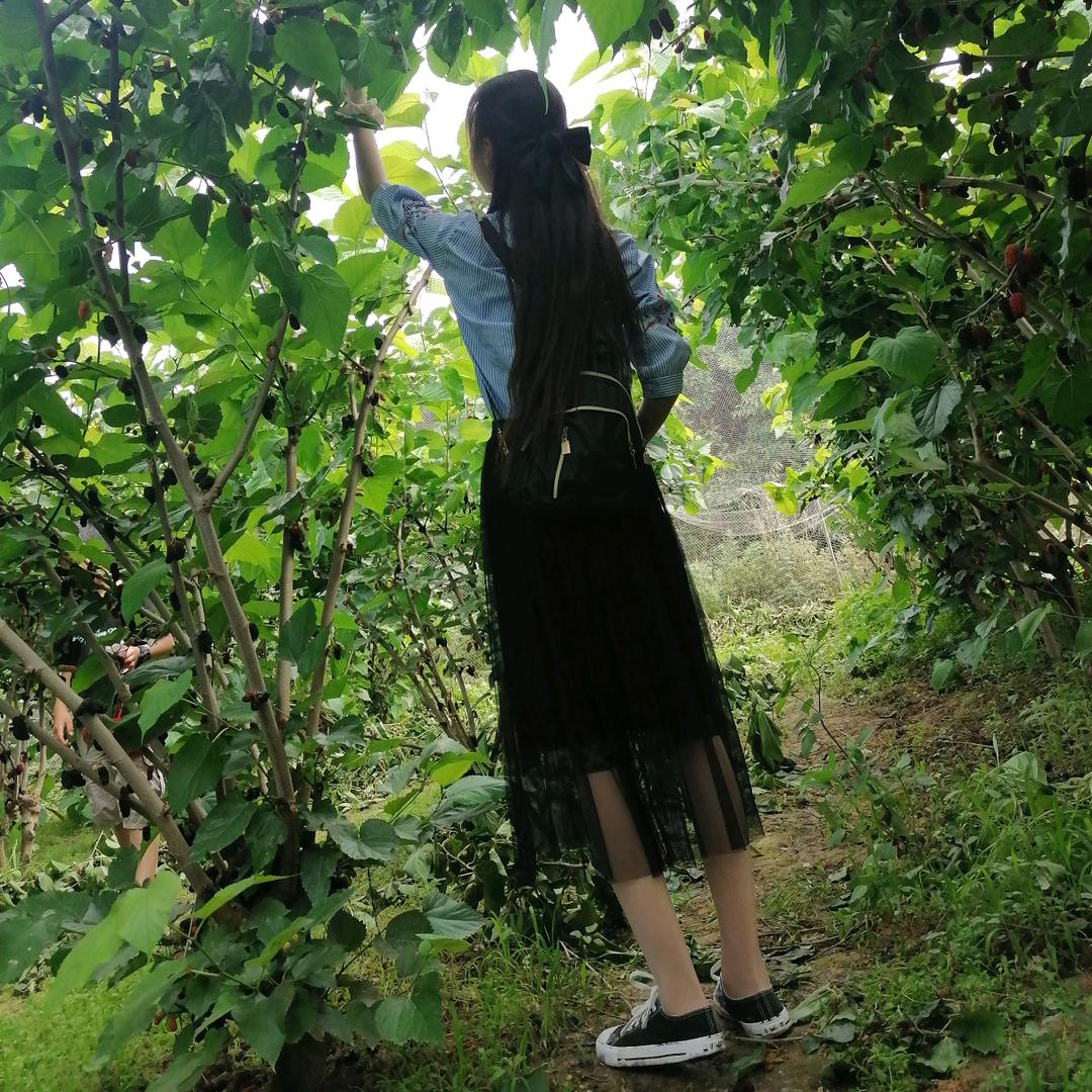 金英美业