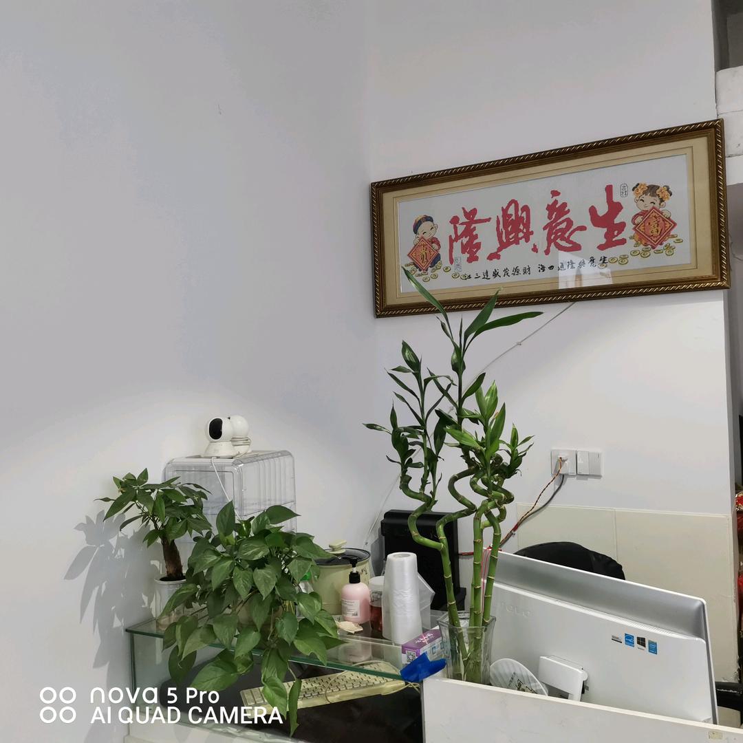 ¥爱赢才会拼〃
