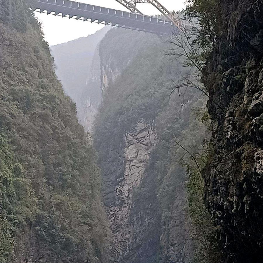 雪中飘