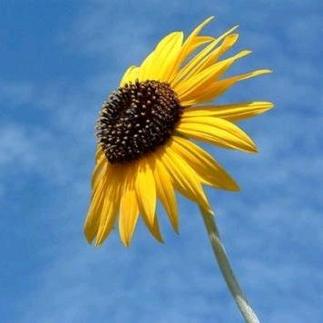 罗老师的修炼之路