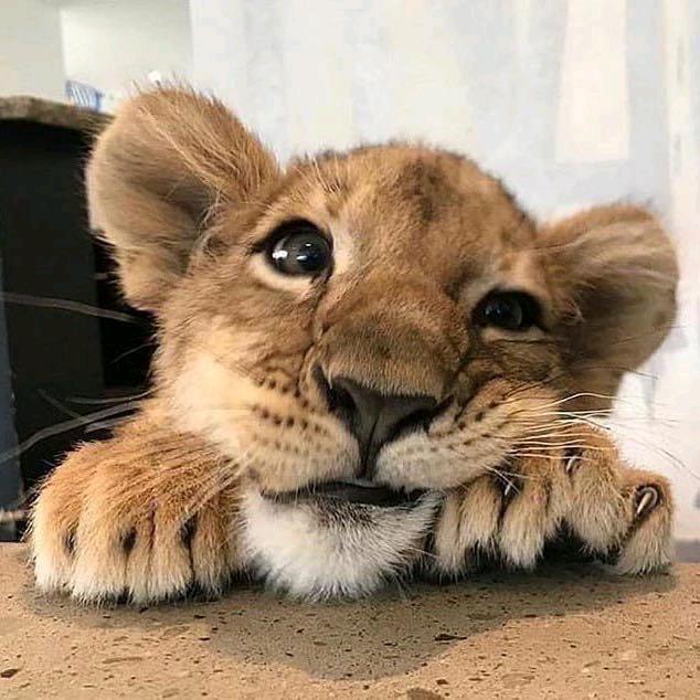 你是恩赐亦是劫