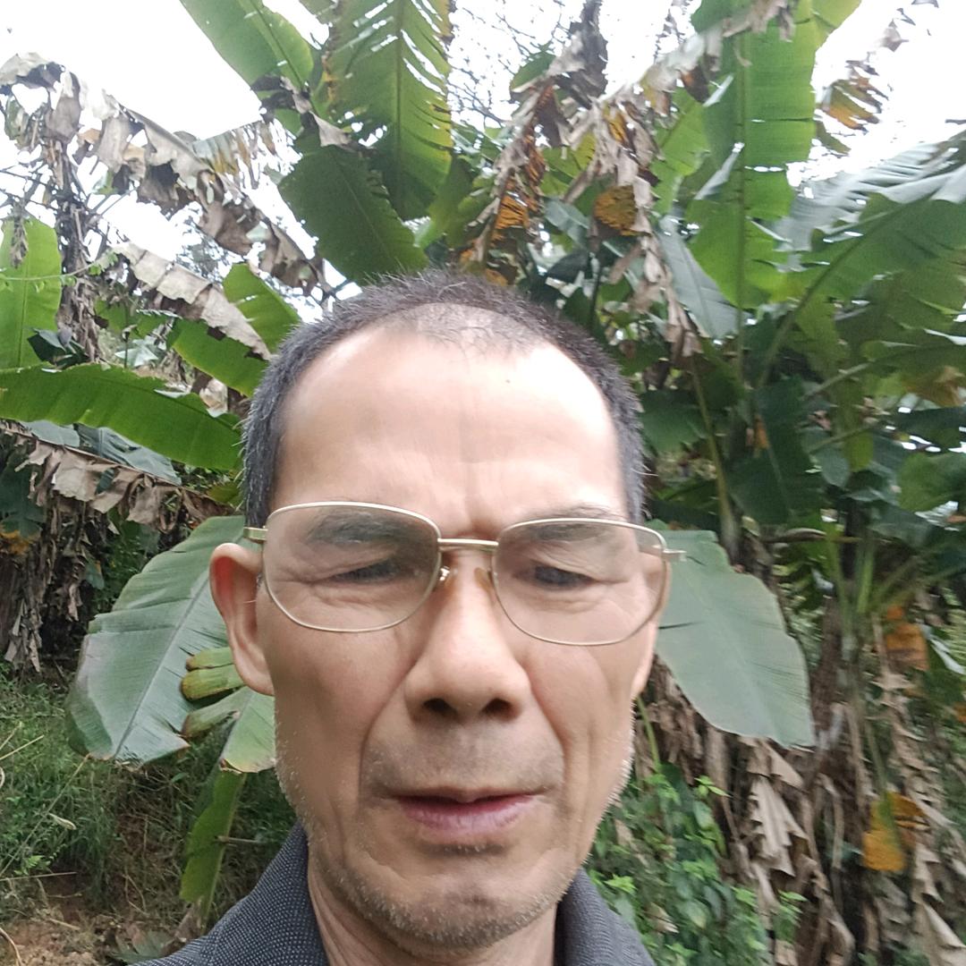 罗爷爷