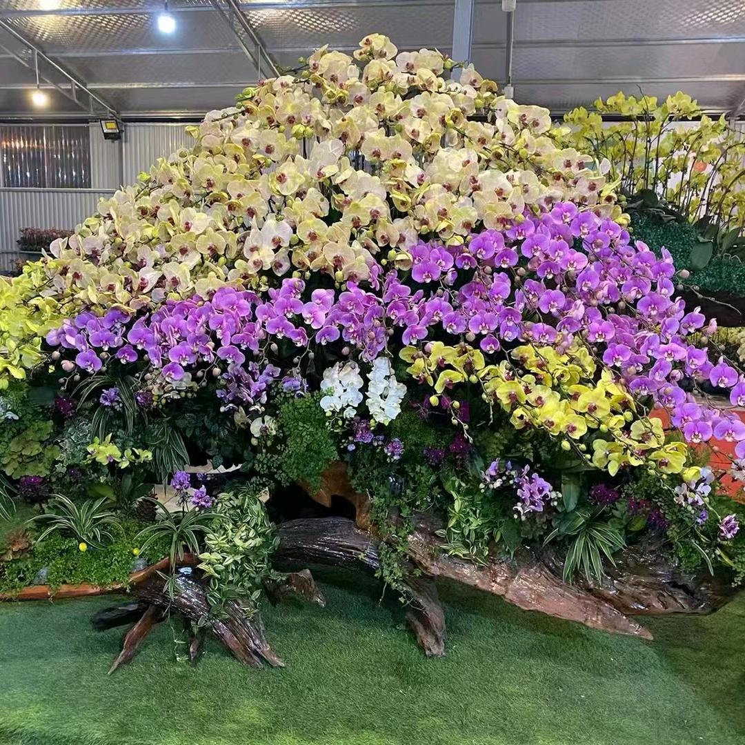 东莞益山园艺蓝