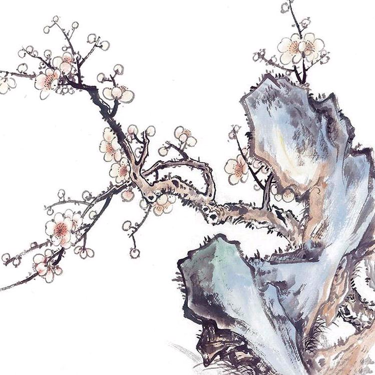 螺丝机智