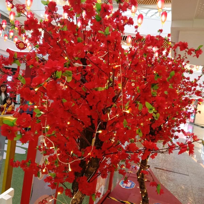 我不加私聊，为爱停留