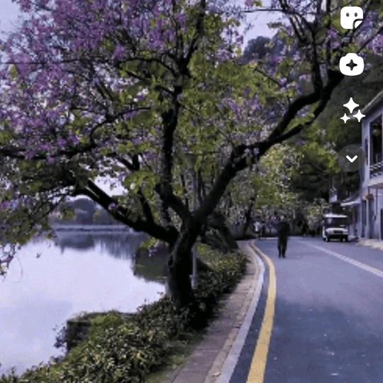 自由