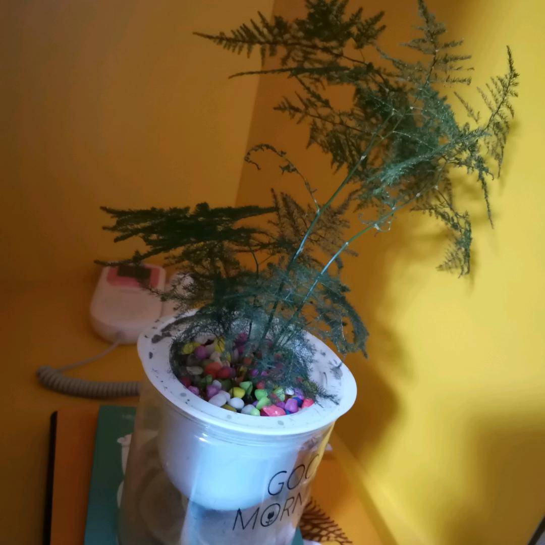 握不住的沙，不如扬了它