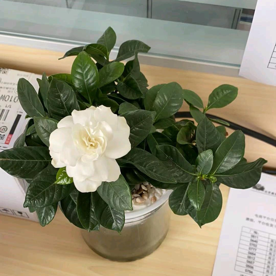 66.h:/ ̳🌴҉̺҉🎉ͤ🍑͍观山听水