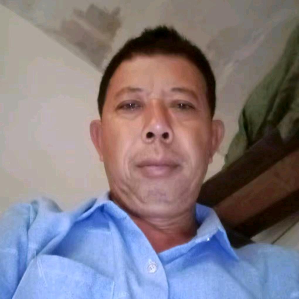 四川宜宾柏棵圆