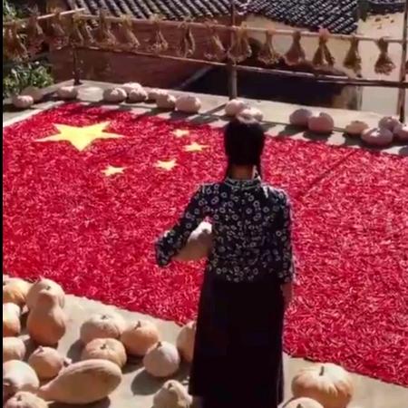 献给您一棵鲜活跳动的中国心❤️🇨🇳