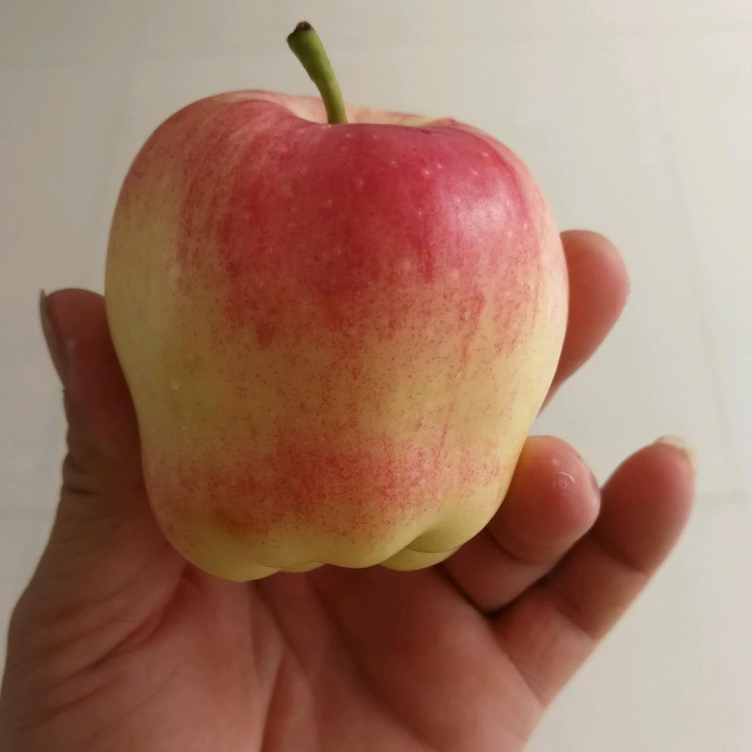 执着人生