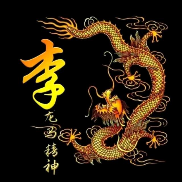 飞向梦中的世界