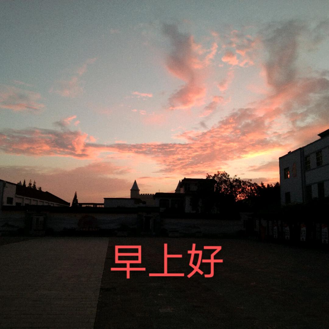 @卫青