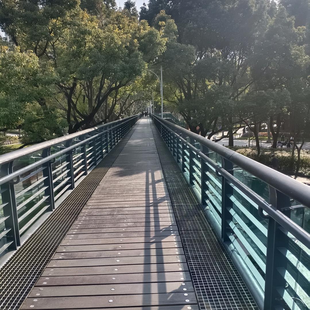 周洪