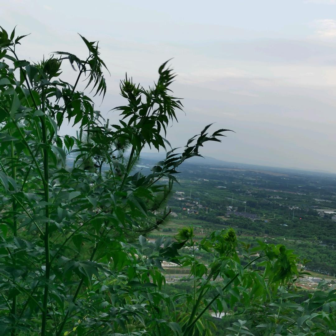 每分每秒
