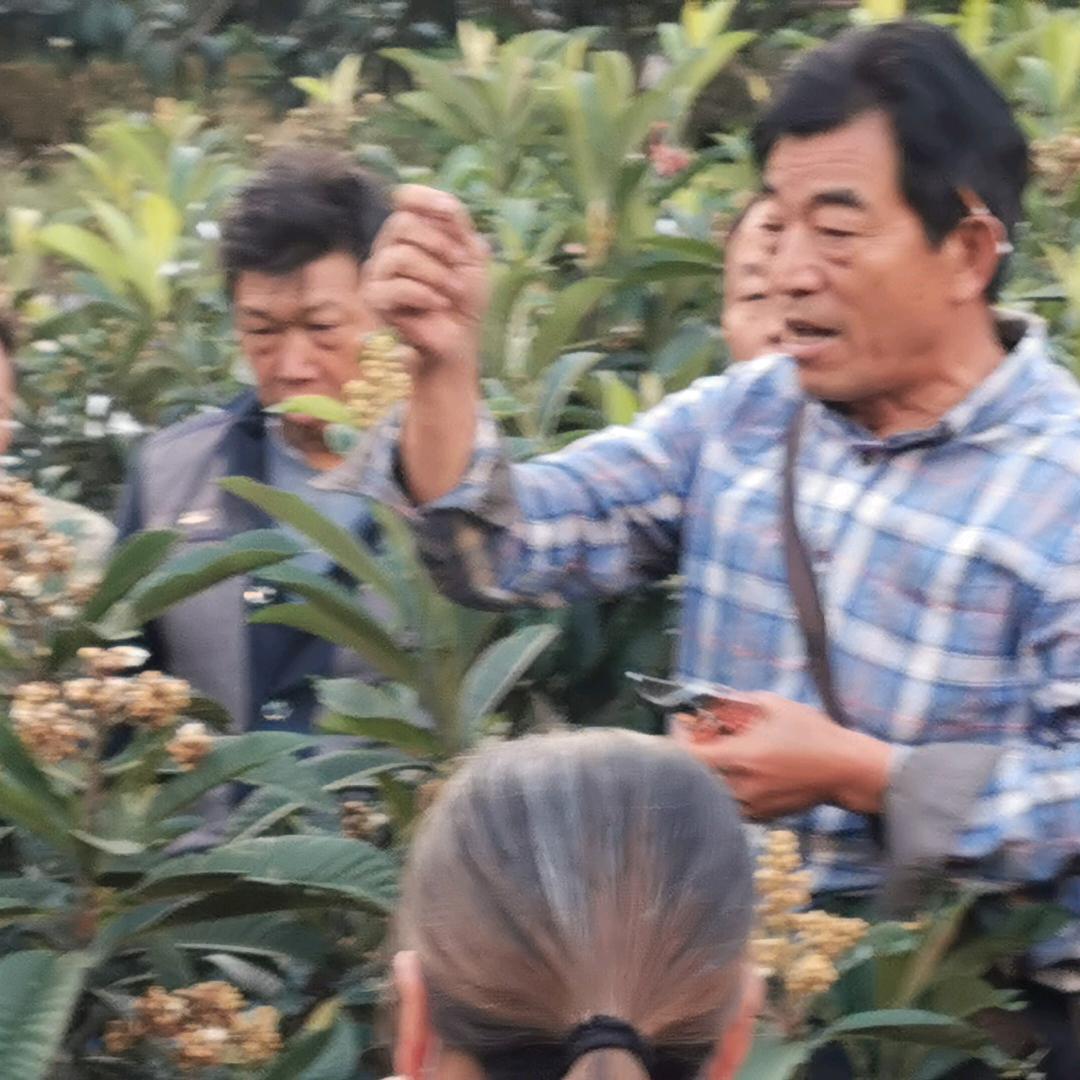 宝来米易四十四门市
