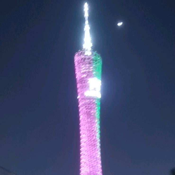 虎