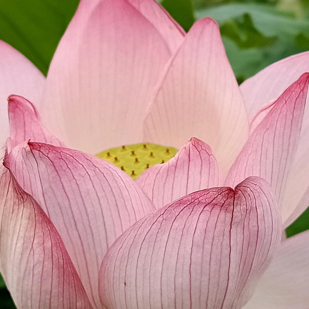 两个小神兽好高兴哟