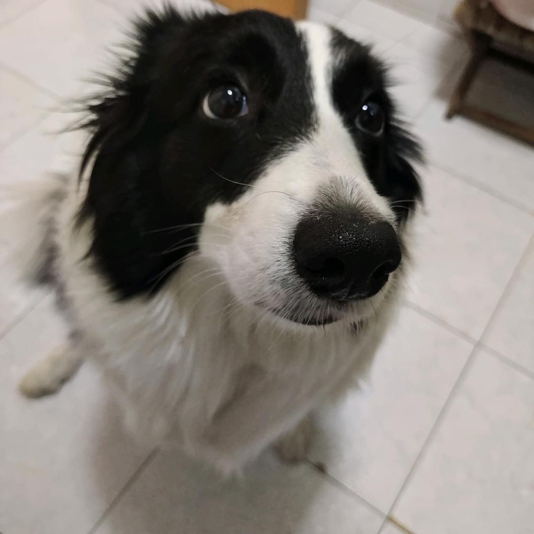 秦同学分享生活