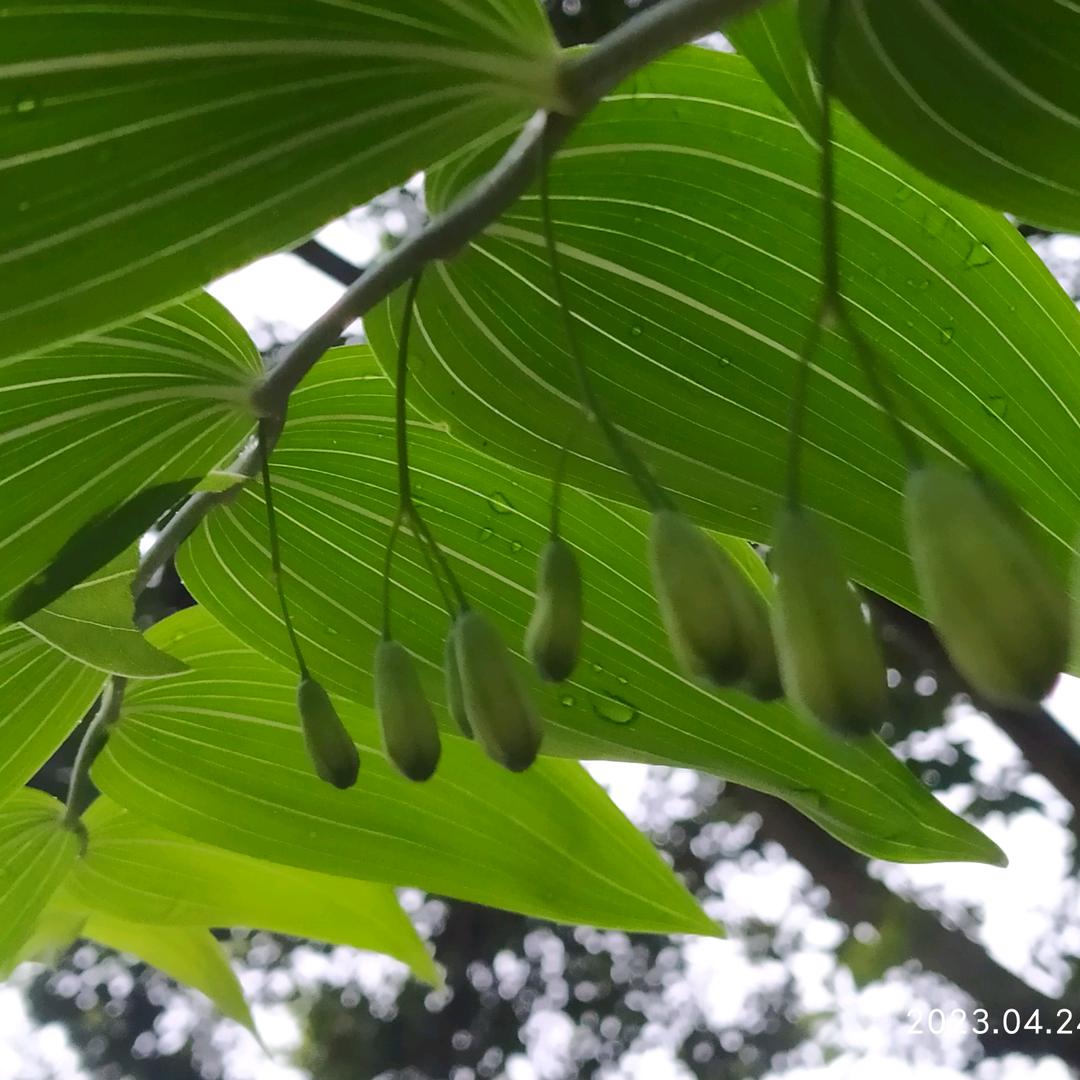 正能量声音
