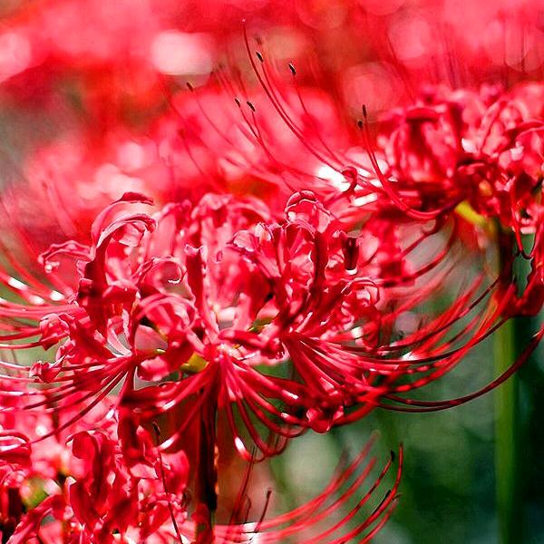 𝑳̶𝒐̶𝒗̶𝒆̶ᥫᩣᐝ过客ꦿᖭ࿐