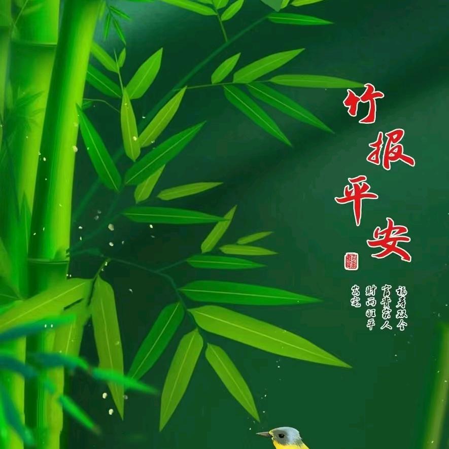 海洋1740