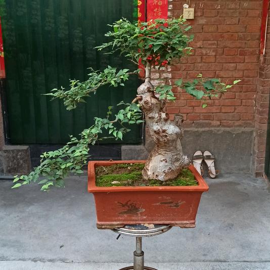 楼梯扶手厂家直销包按装