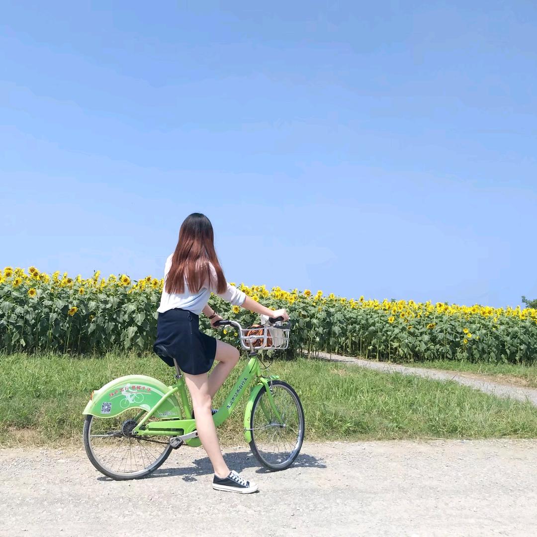 🌻谁的向日葵✨💕