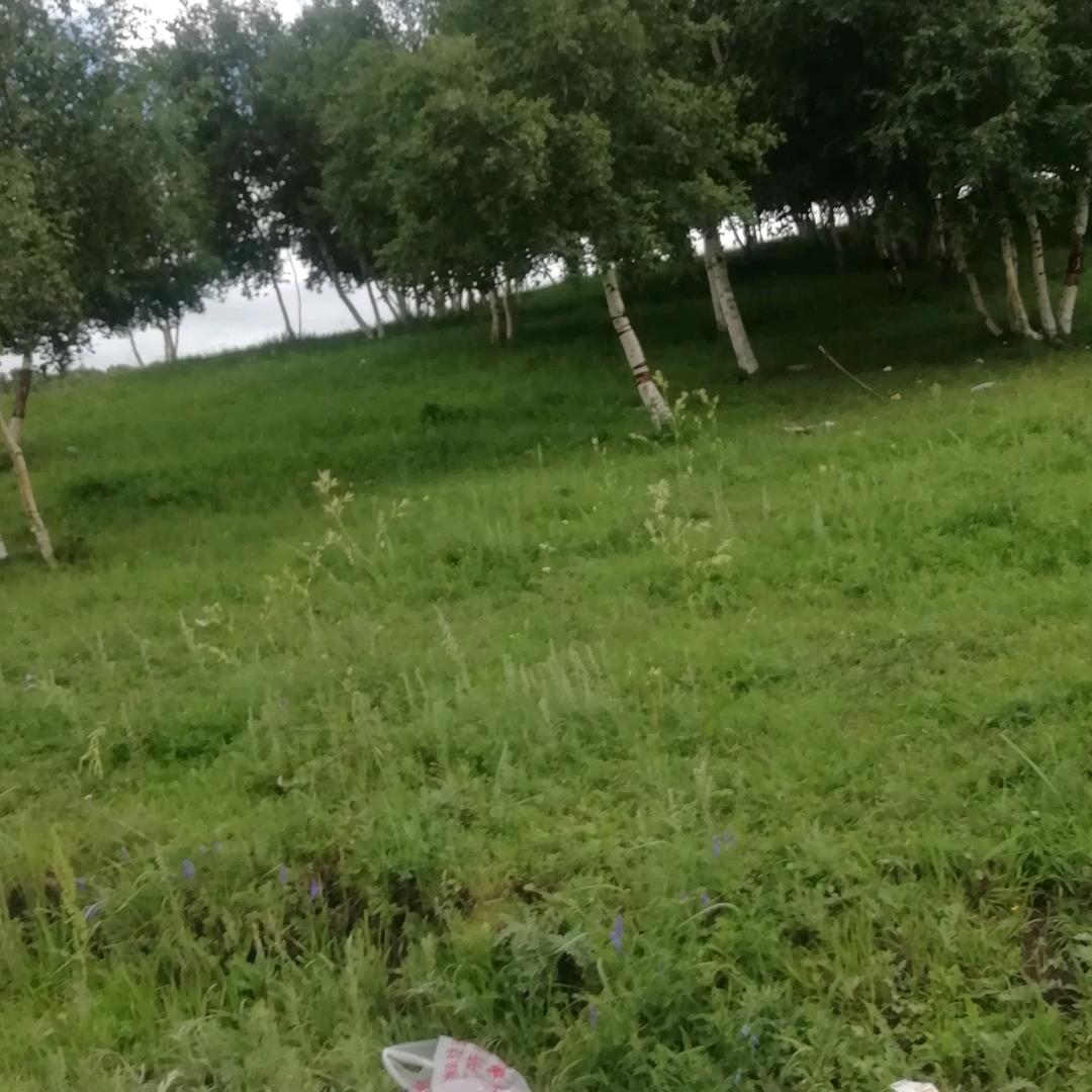 爱戏曲