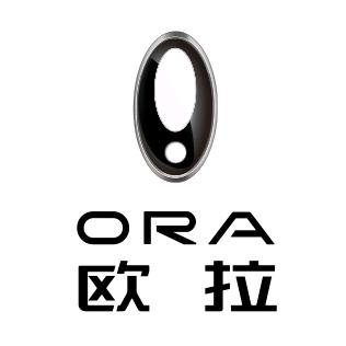 欧拉汽车大连丰悦店