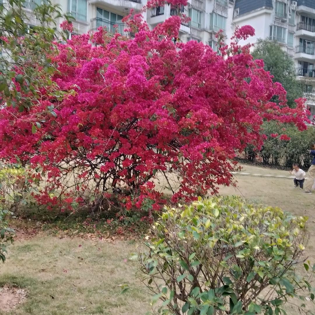 清风明月