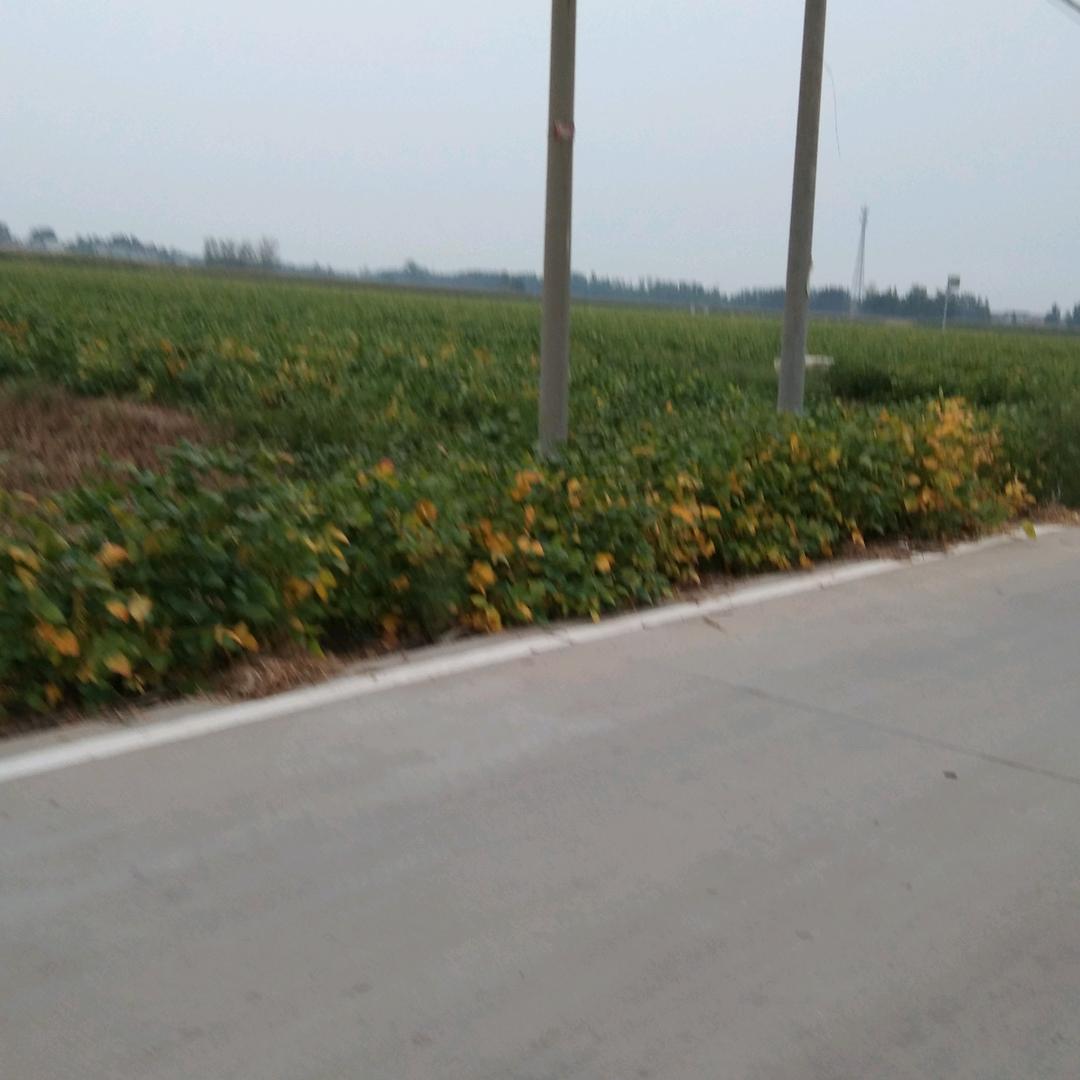 简单幸福