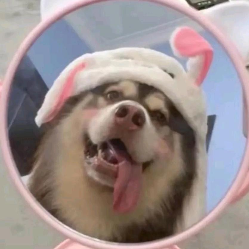 Nnnn(港城驾校任教练)