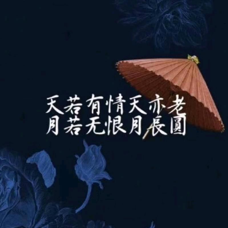 执着只为你