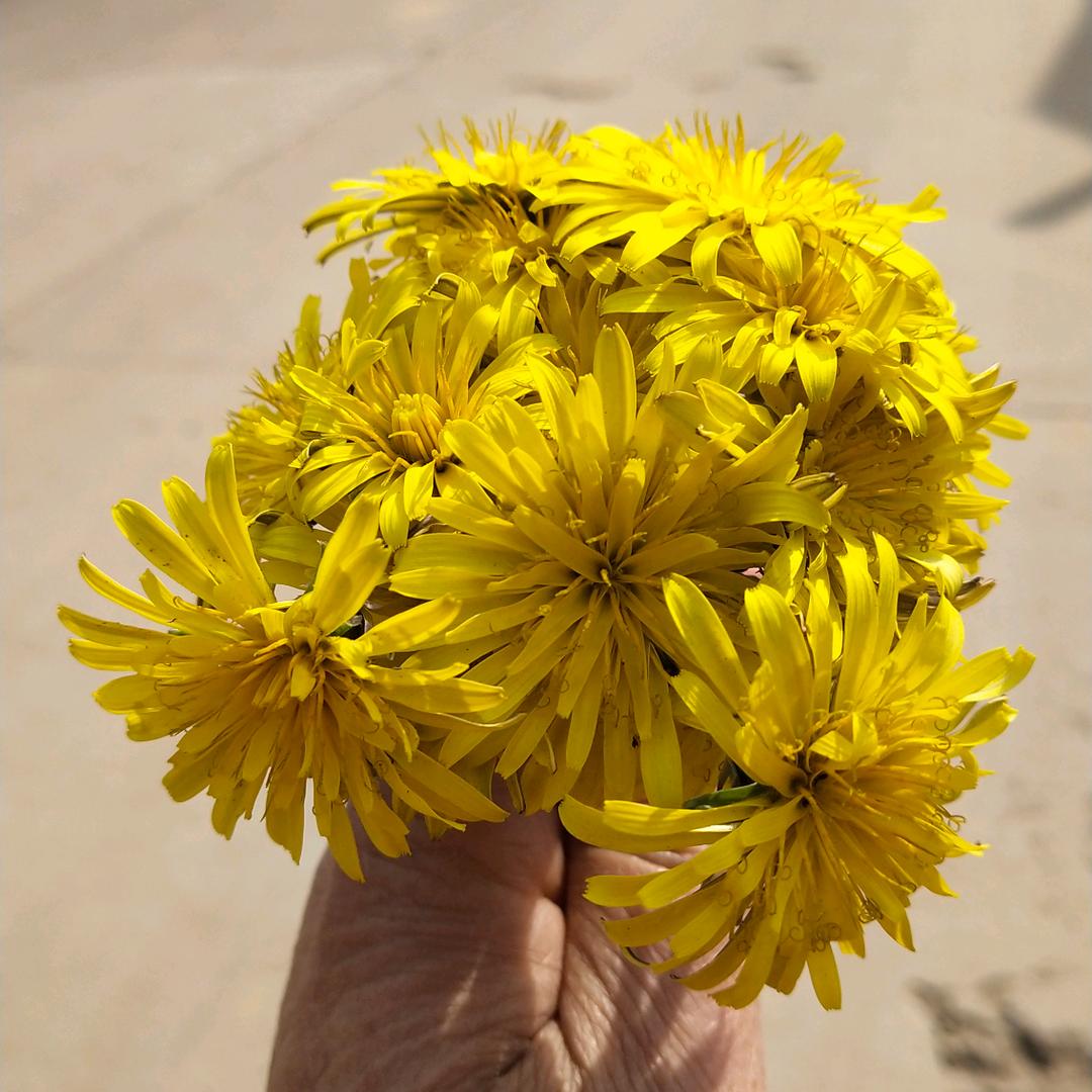 美好时光💐