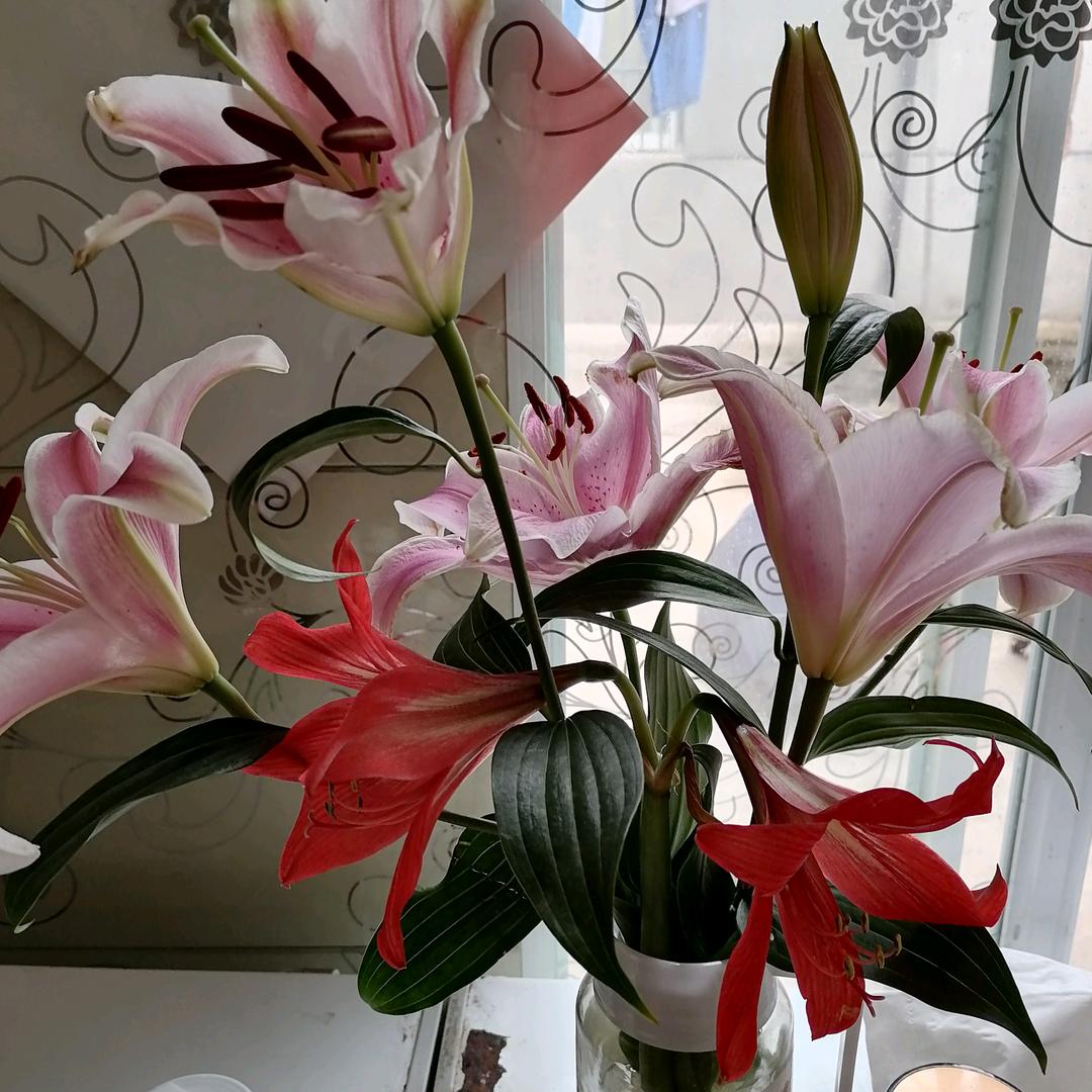 🌹🌹花开富贵