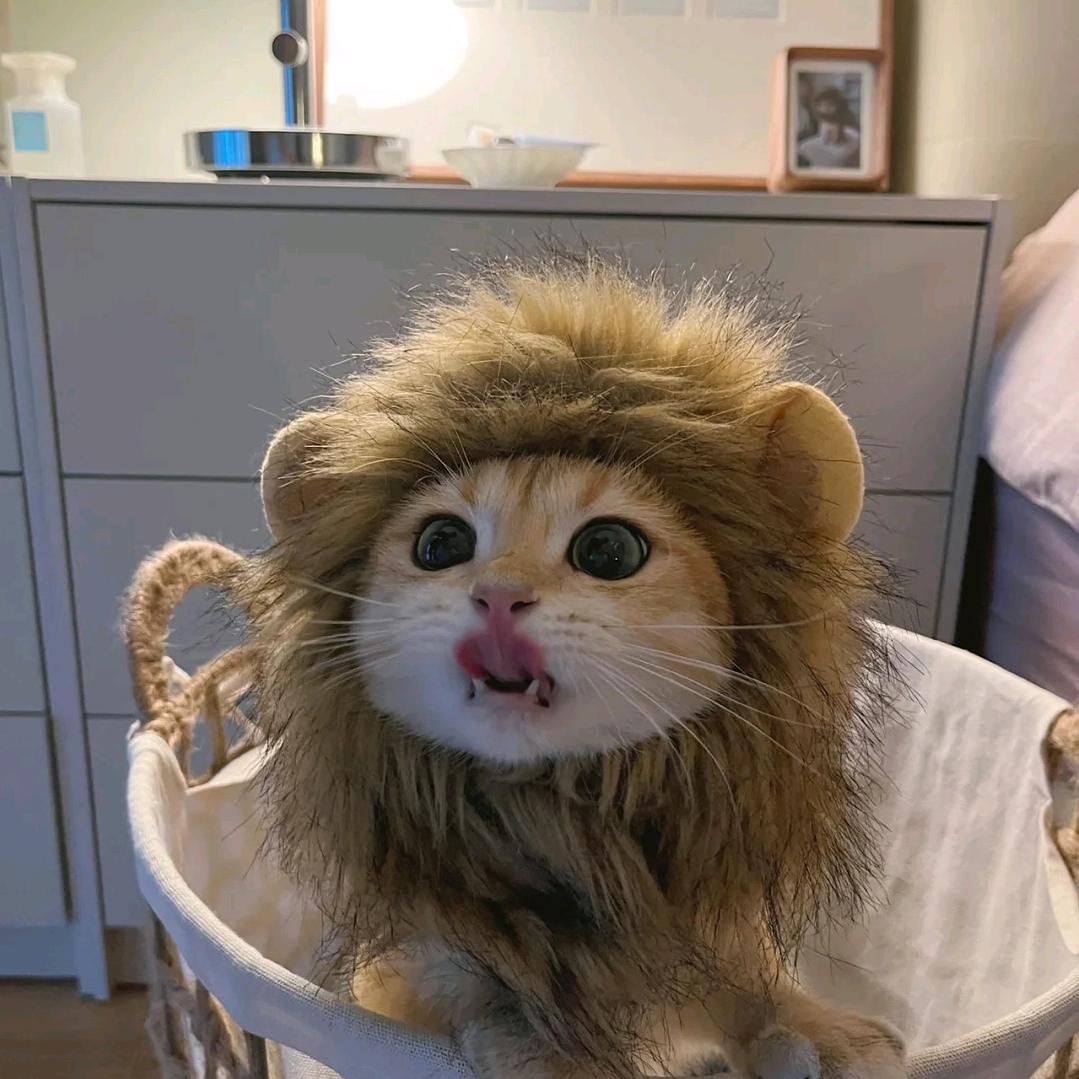 山东劳务派遣男孩