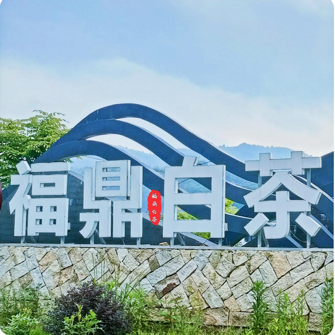 品润缘茶叶