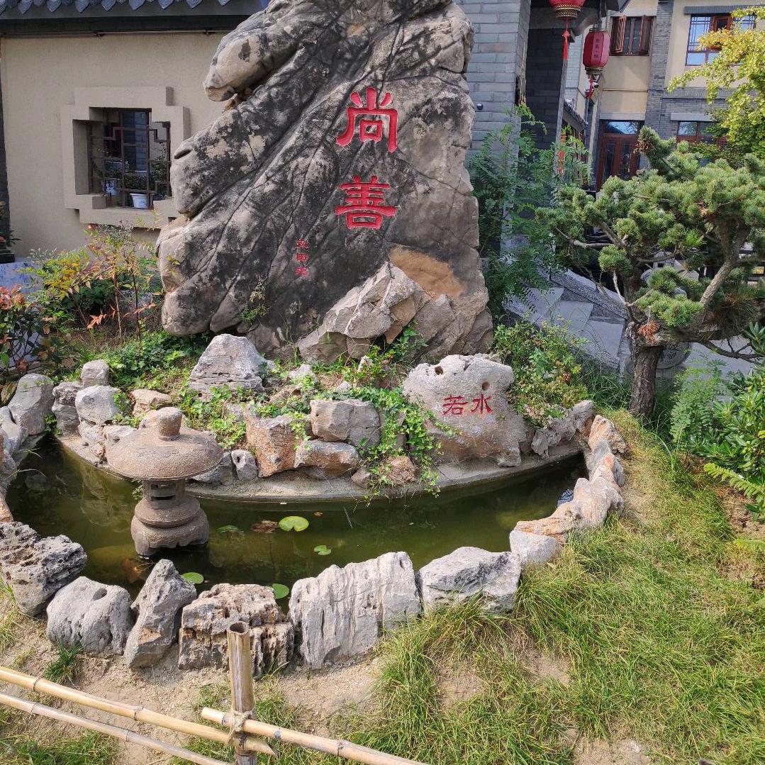 峰丹白鹭