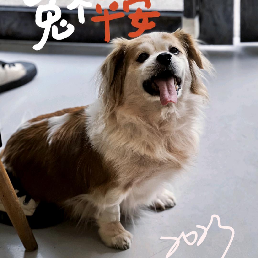 皮皮啊！😘