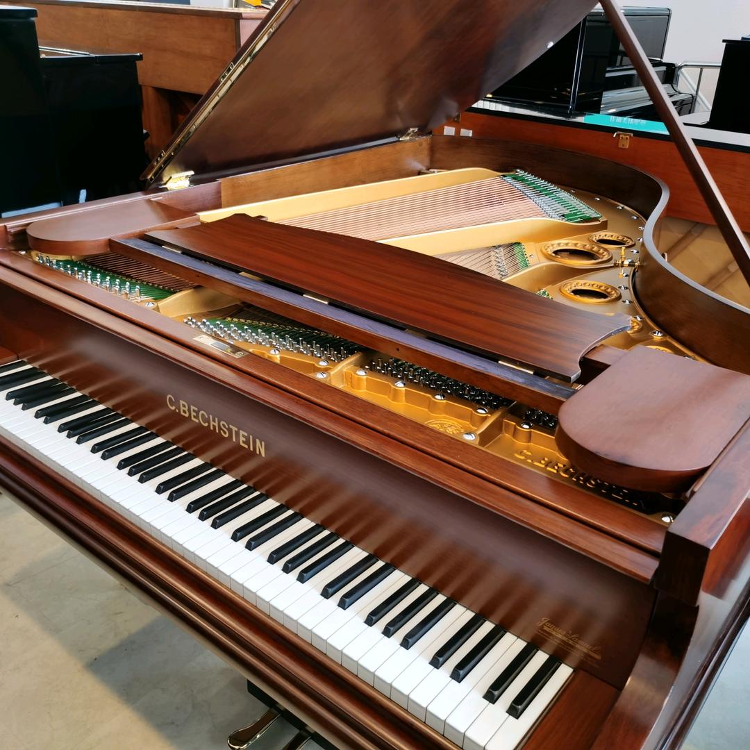 高手（钢琴调音师）