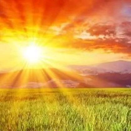 @坪姐☀