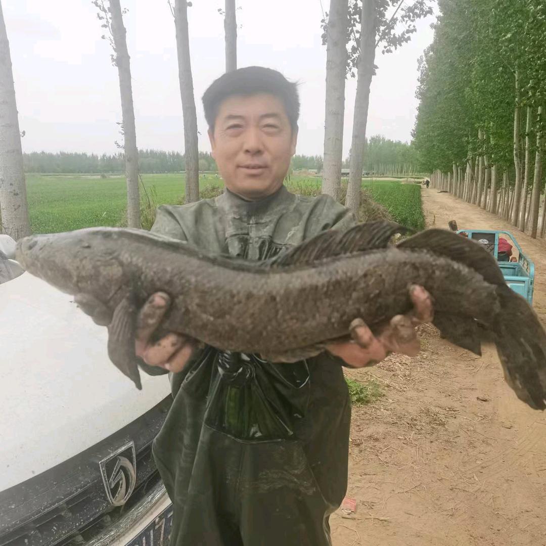 @济南逮鱼哥