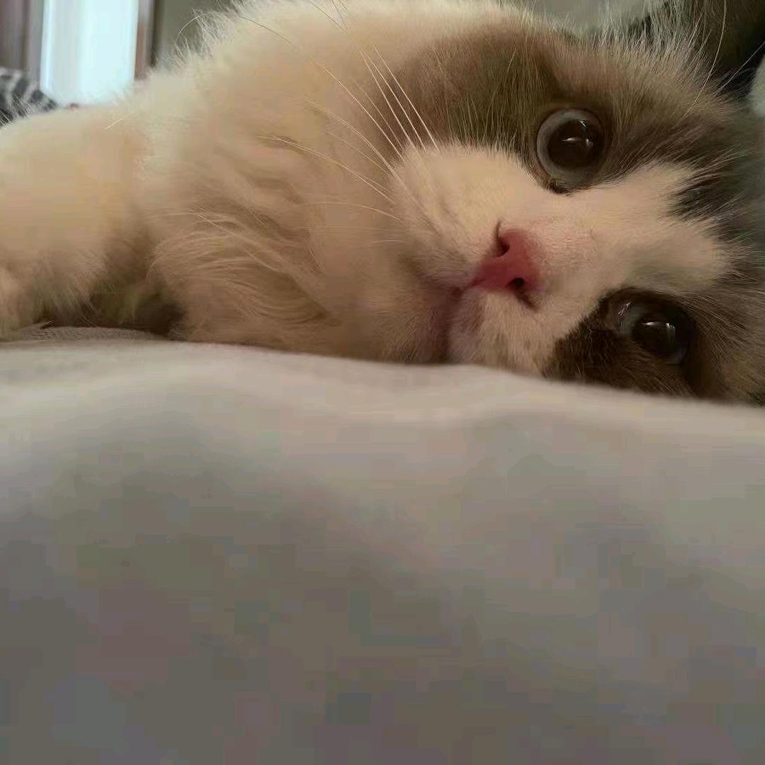 晚风(国服马克)