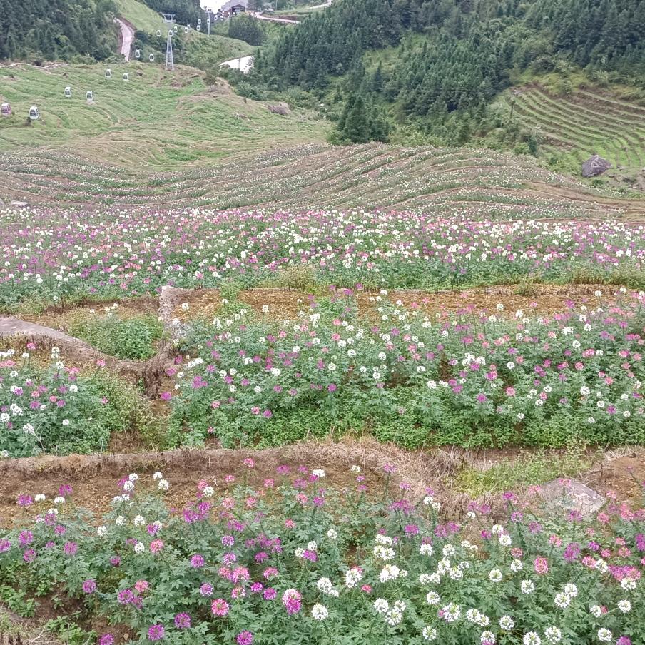 心里有你(*^ω^*)