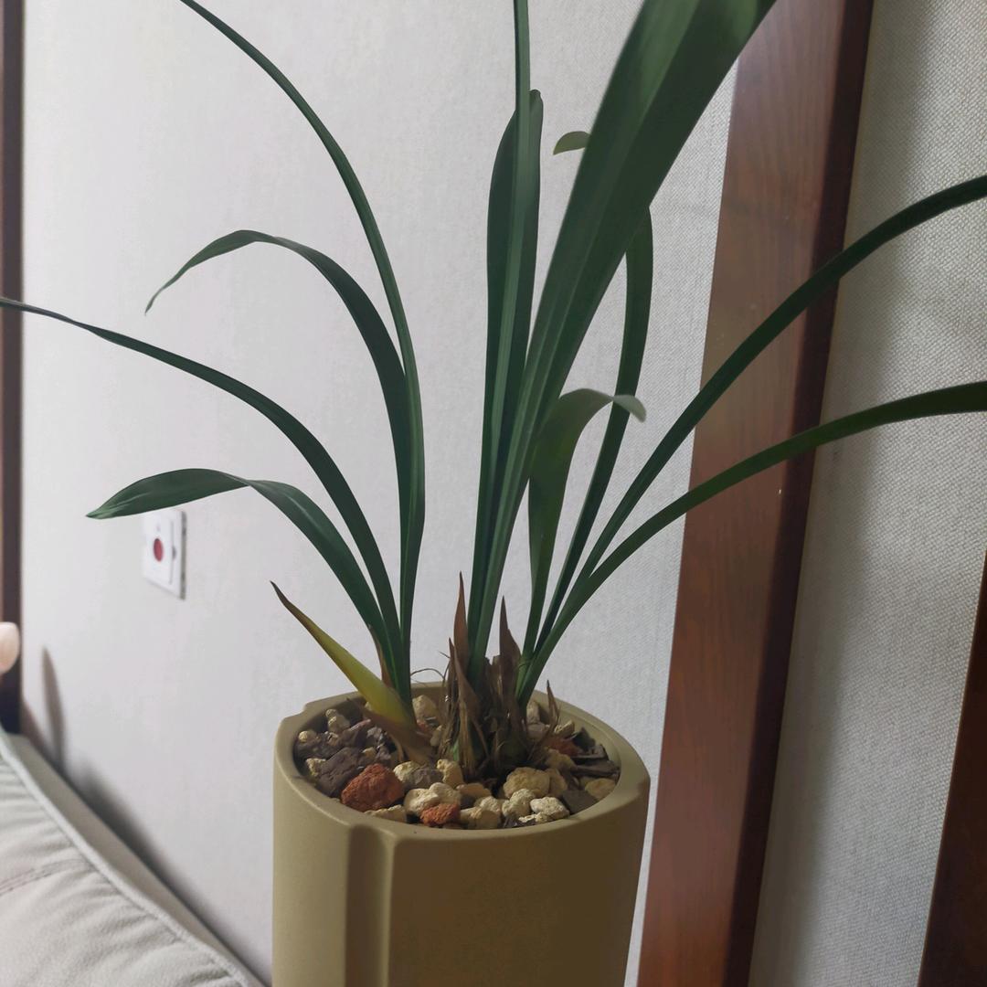 @浪淘沙