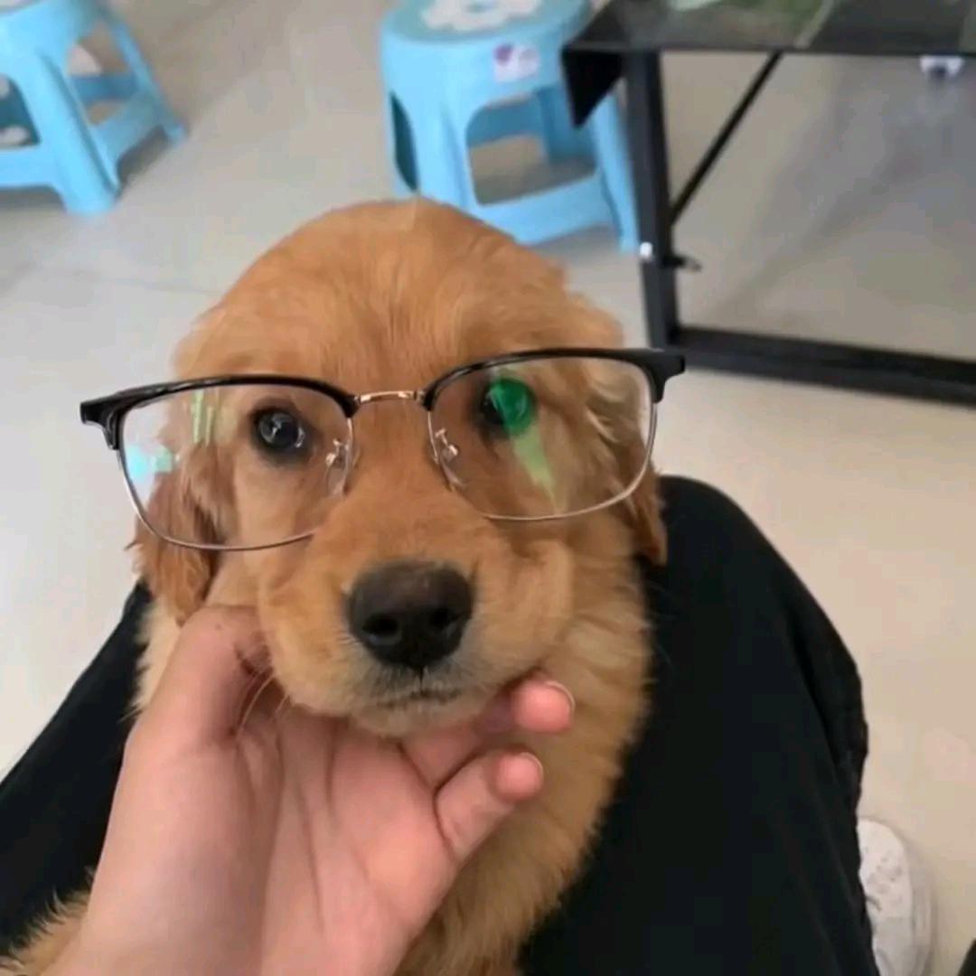 相聚不相识.