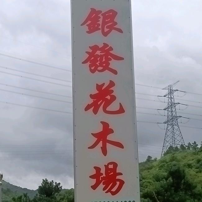 银发园艺