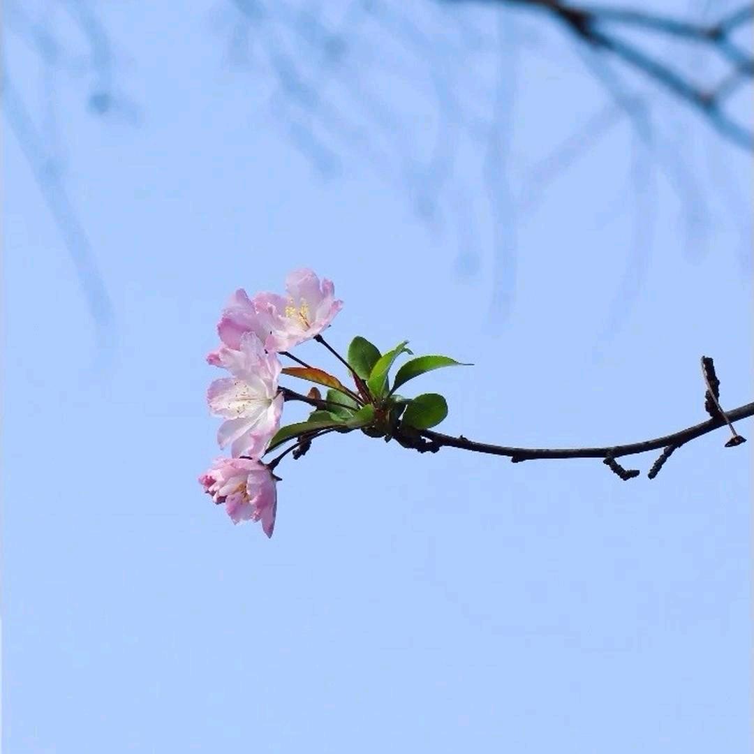 浅笑安然（工厂招工）